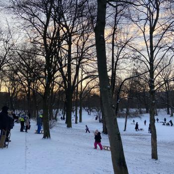 Volkspark Schöneberg