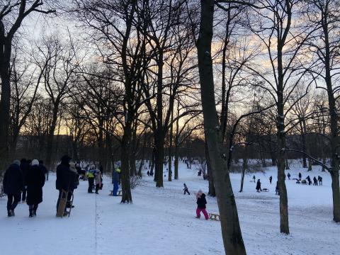 Volkspark Schöneberg